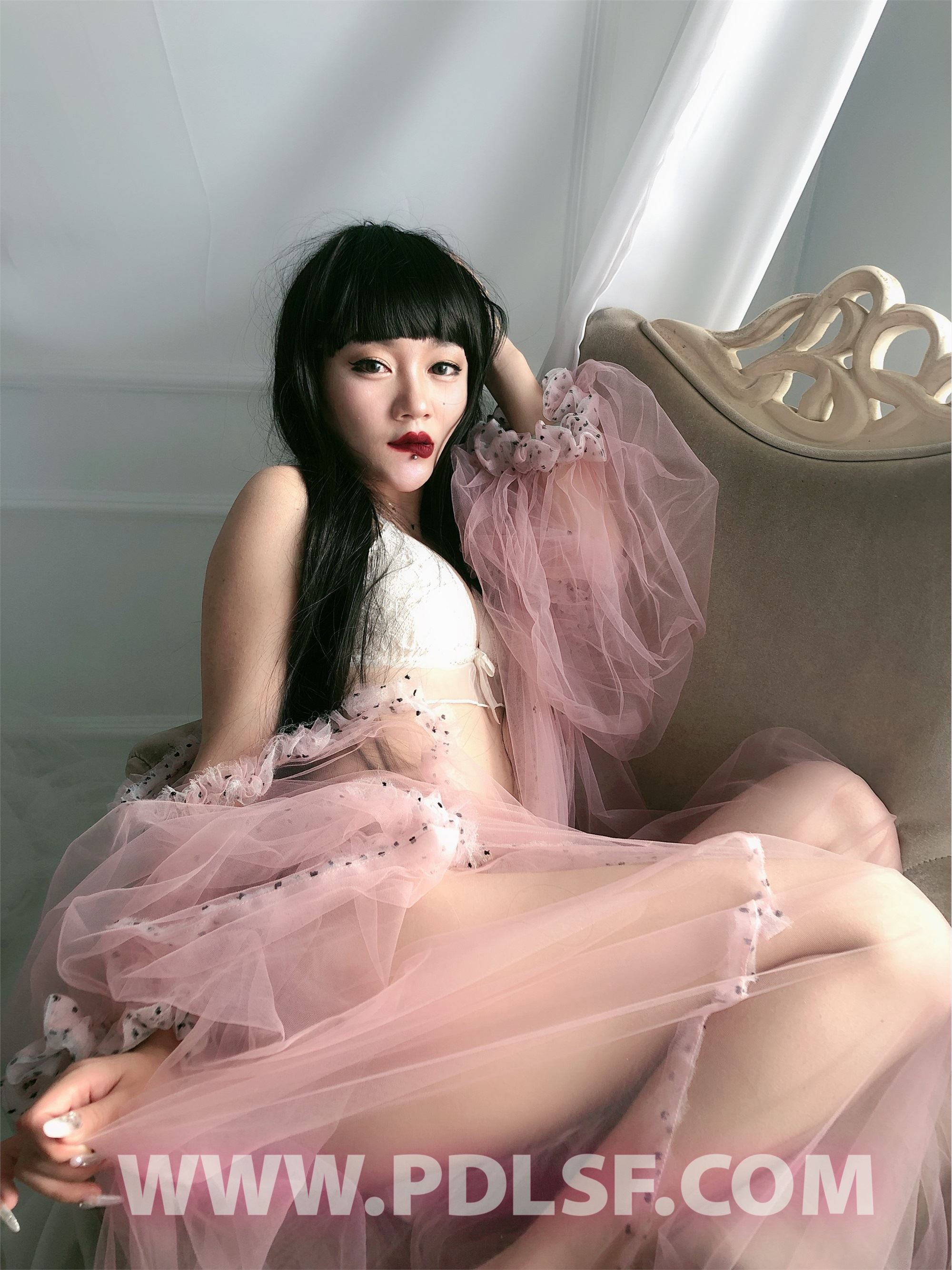 PDL潘多拉 2020.02.03 专辑No.275